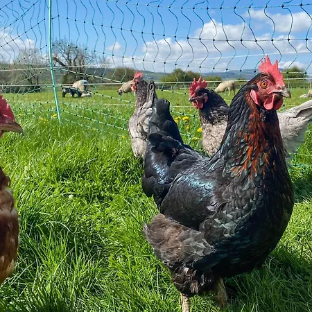 펜션 Brookfields 미들햄